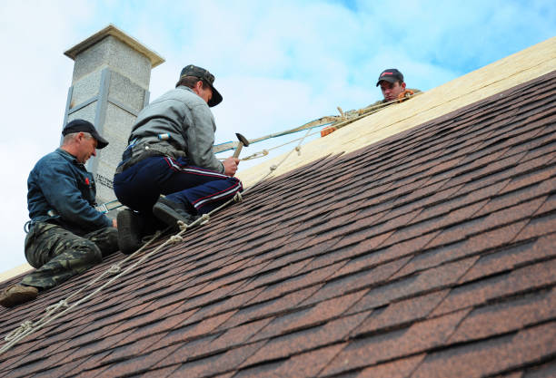 Best Residential Roofing Contractor  in Savannah, GA